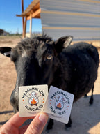 Marshmallow Muncher's sticker with Fiona the black sheep