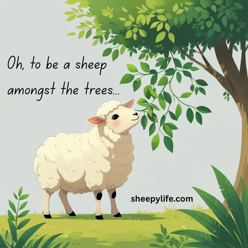 Sheep sticker sheep by a tree with the words "Oh, to be a sheep amongst the trees"
